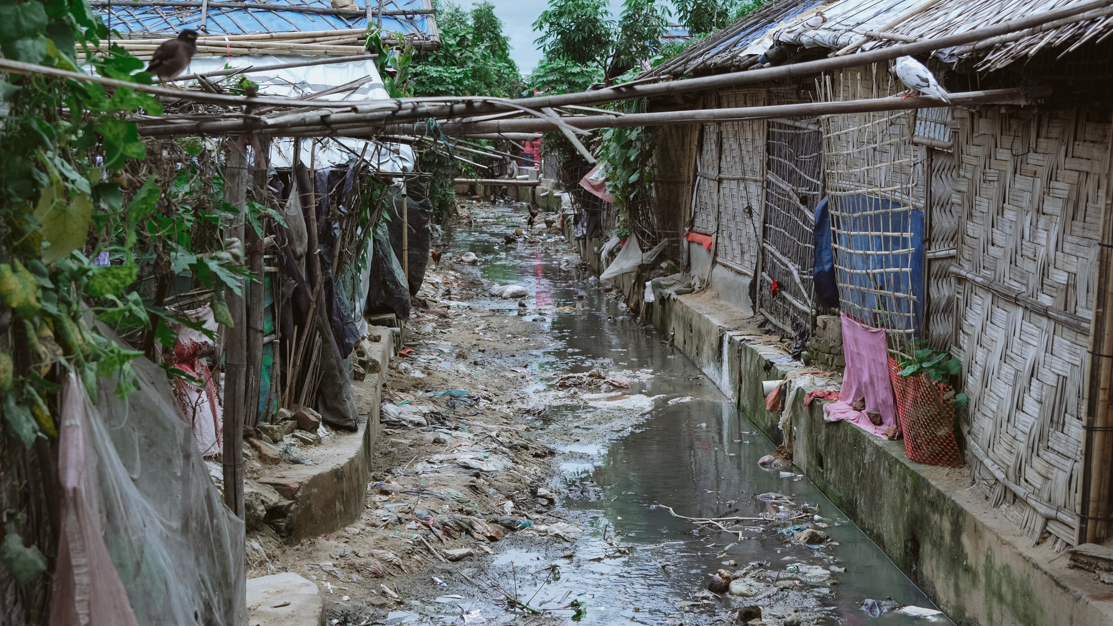 Cox's Bazar sanitation