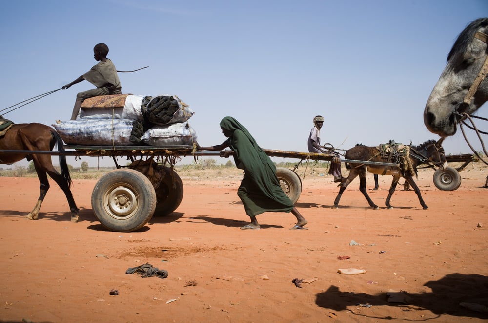 Sudan survivors in Chad