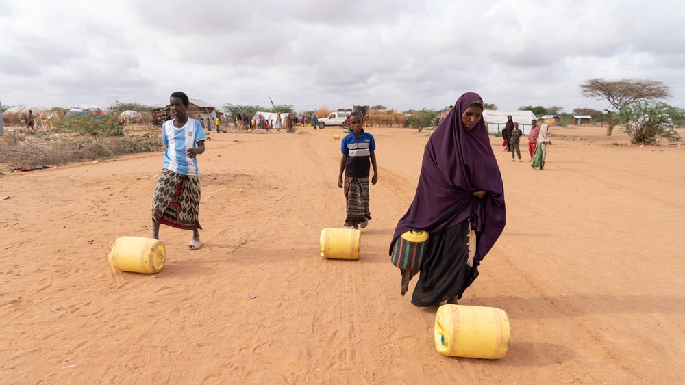 Living conditions of refugees and host communities in Dadaab