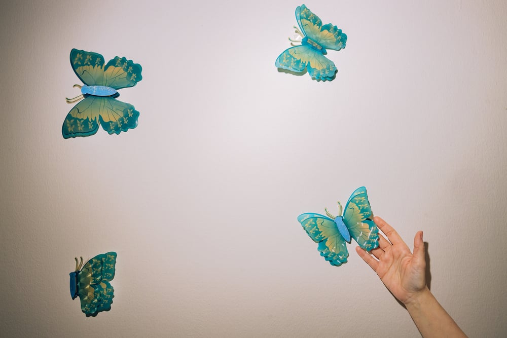 A wall of butterflies inside the MSF clinic in Nablus