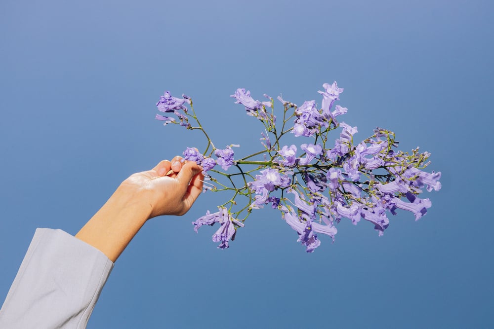 A woman holds up a purple flower