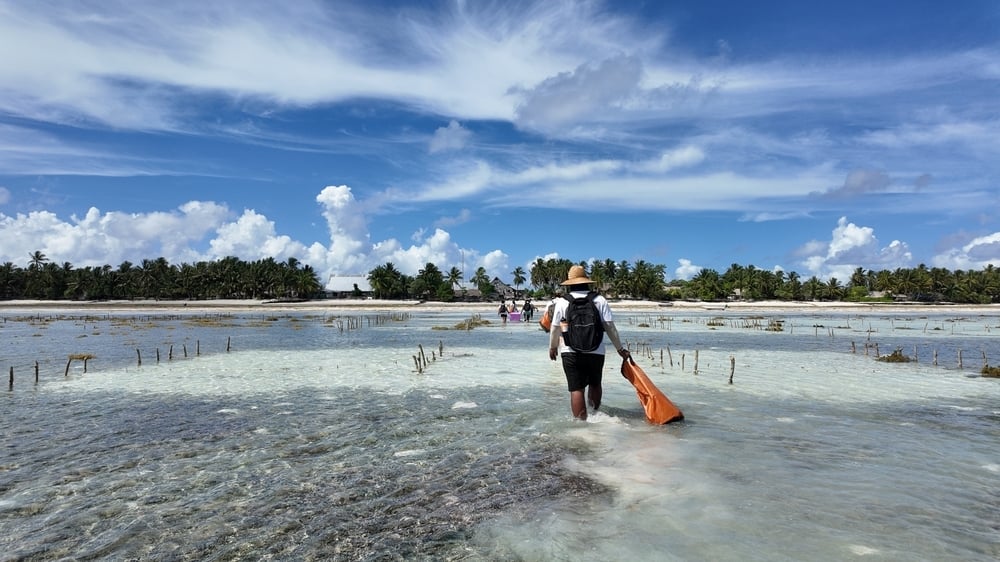 Mila and the MSF team visiting Nuotoea Island