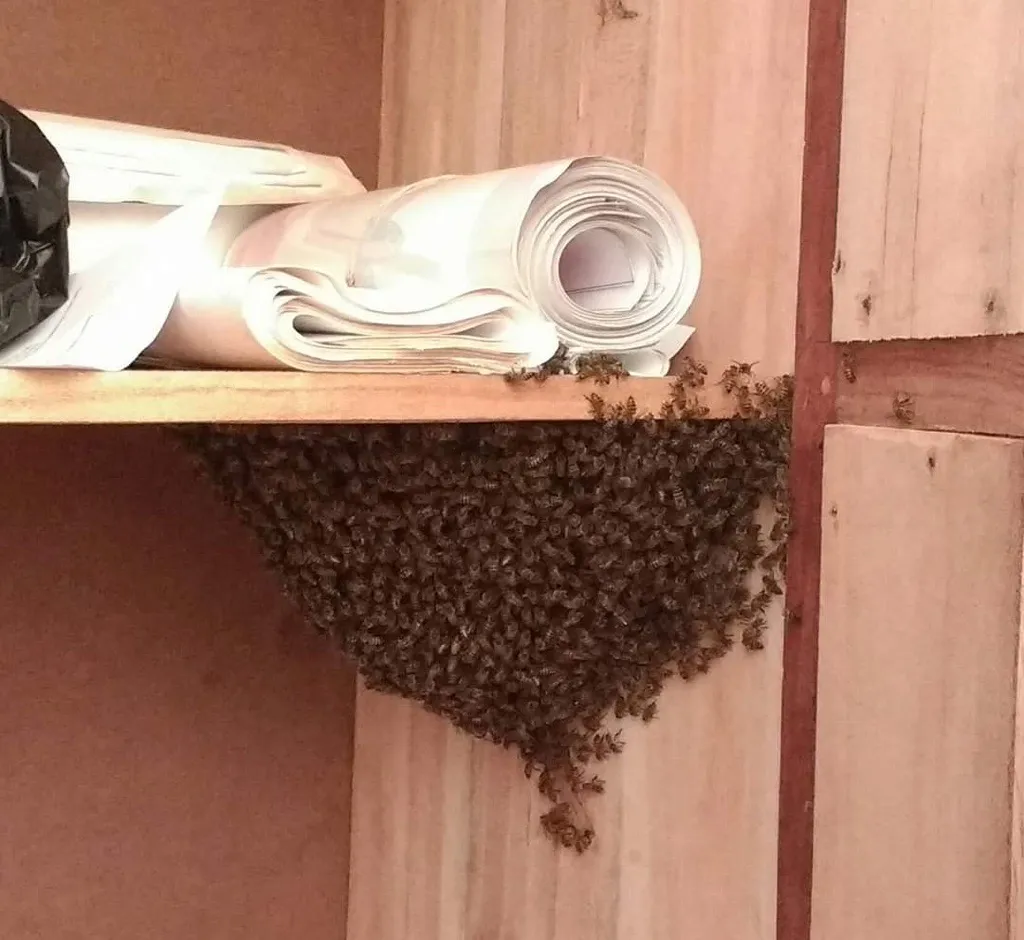 beehive