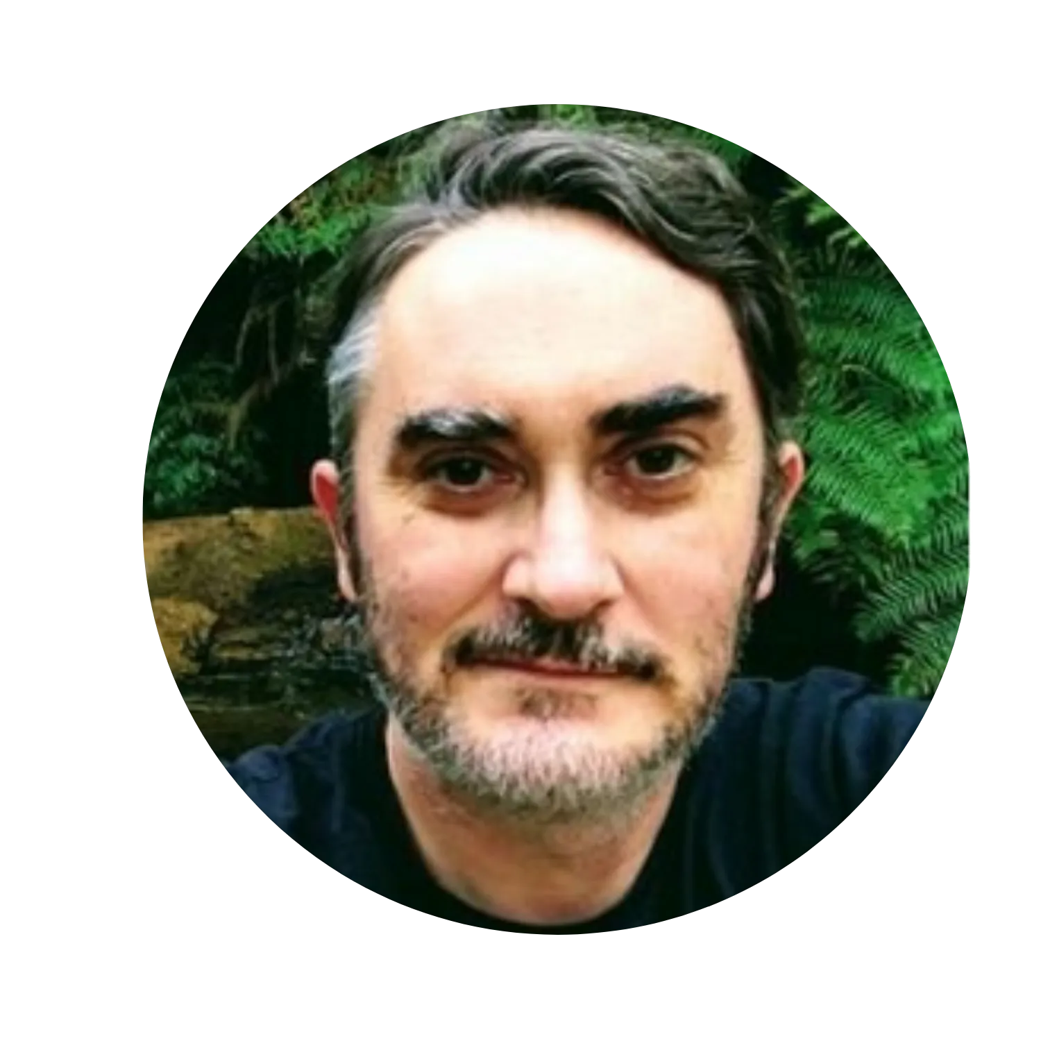 Sean Healy