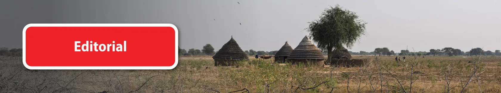 South Sudan
