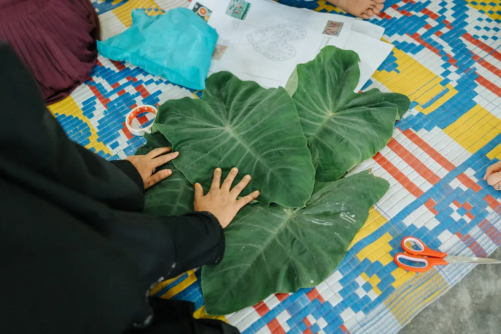 taro