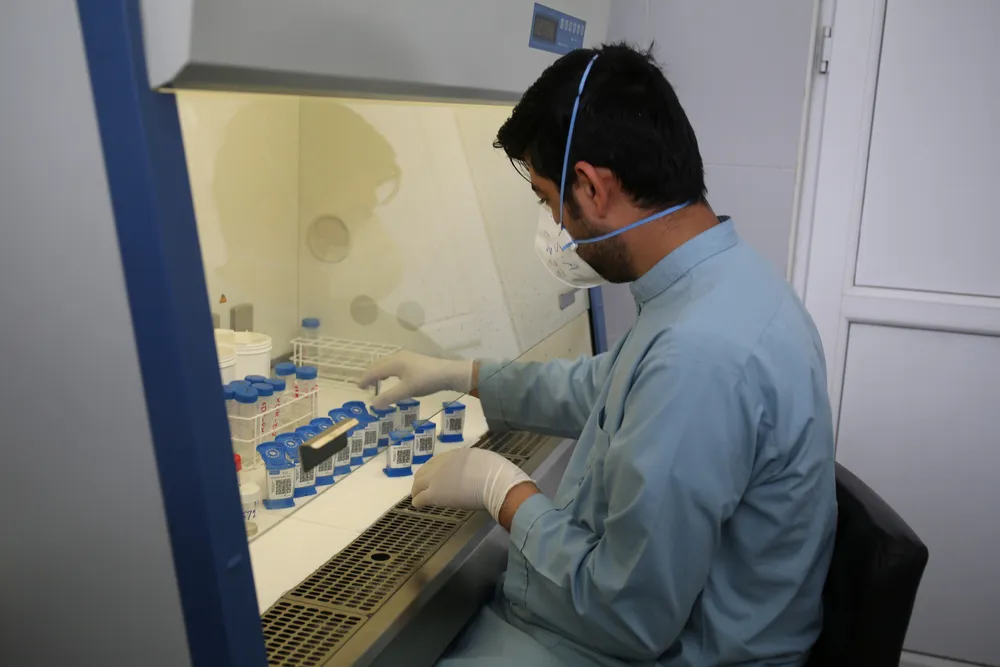 MSF technician 